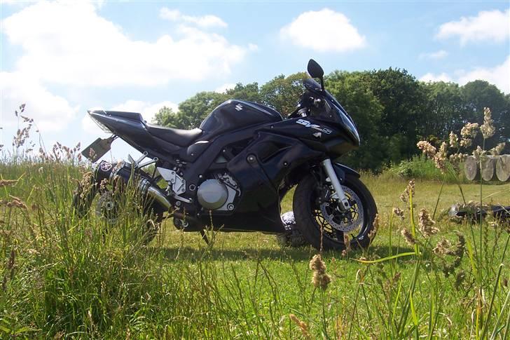 Suzuki Sv1000S Til salg billede 2