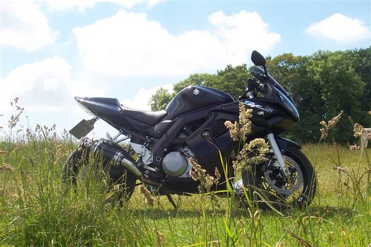 Suzuki Sv1000S Til salg billede 4