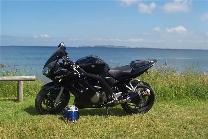 Suzuki Sv1000S Til salg billede 6