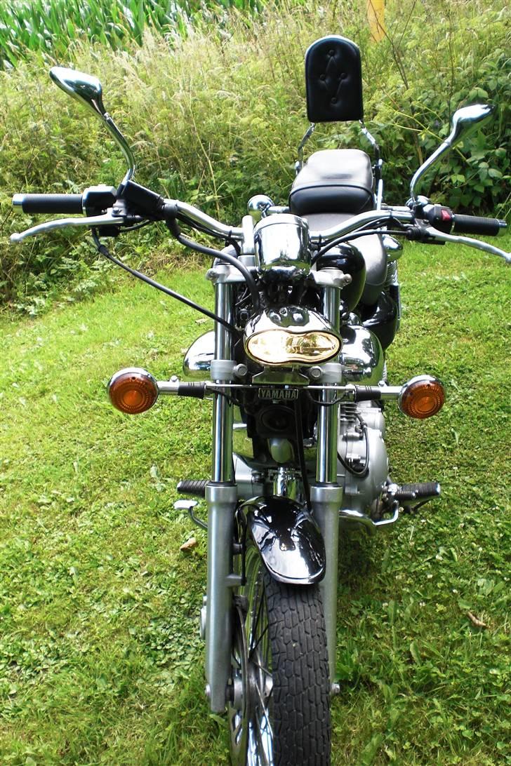 Yamaha XV 535 Virago billede 5