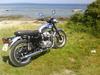 Kawasaki W 650 "Frøen" [Tidl. motorcykel]