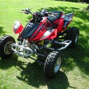 Honda Honda TRX 450 - SOLGT