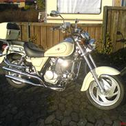 Lifan 250-4