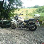 Lifan 250-4
