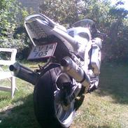 Suzuki SV 1000