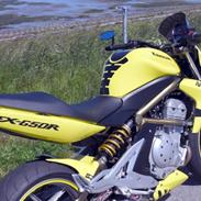 Kawasaki ER-6n - Streetbike