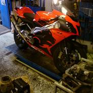 Aprilia RSV MILLE