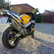 Honda cbr 900rr