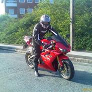 Triumph daytona 675