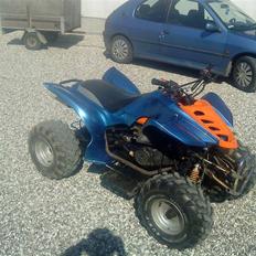 Jinlun 150CC ATV