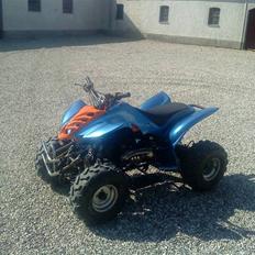 Jinlun 150CC ATV