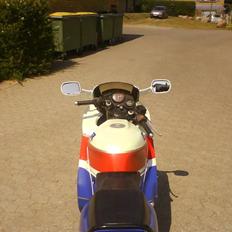 Honda CBR 600 (SOLGT)