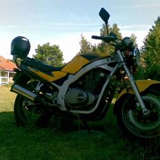 Suzuki GS 500E