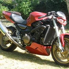 Kawasaki zx12r Fighter.