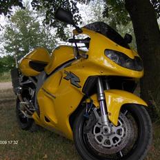 Suzuki TL1000R