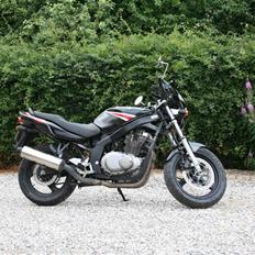 Suzuki GS 500