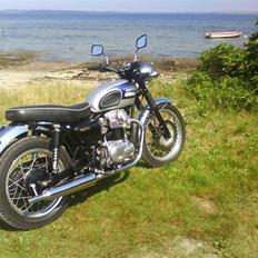 Kawasaki W 650 "Frøen"