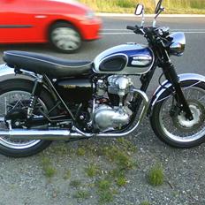 Kawasaki W 650 "Frøen"