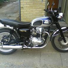 Kawasaki W 650 "Frøen"