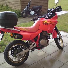 Honda NX 650 Dominator
