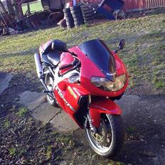 Suzuki TL1000R *Byttet*