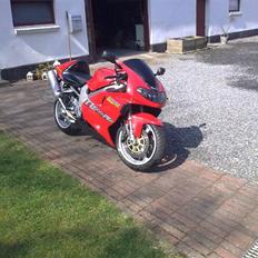 Suzuki TL1000R *Byttet*