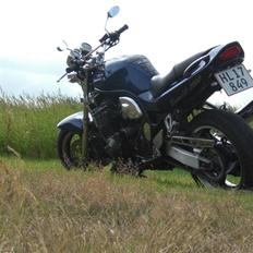Suzuki bandit  1200