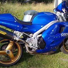 Triumph Daytona 955i