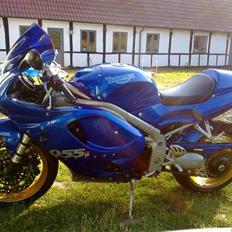 Triumph Daytona 955i