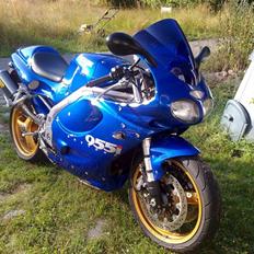 Triumph Daytona 955i