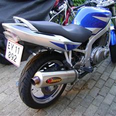 Suzuki vz 800  marauder