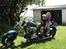 Triumph tiger 100 ss    
