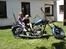 Triumph tiger 100 ss    