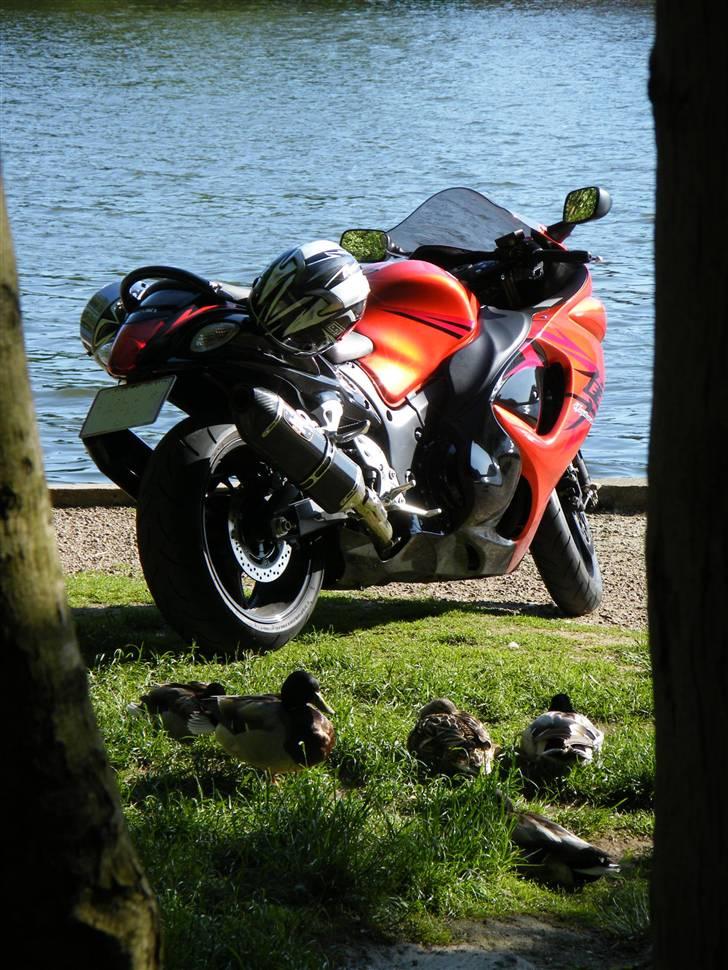 Suzuki Hayabusa billede 8