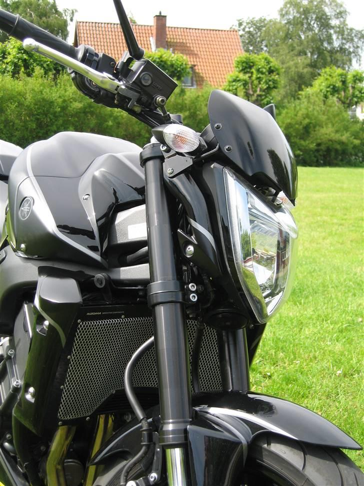 Yamaha FZ-1 billede 5