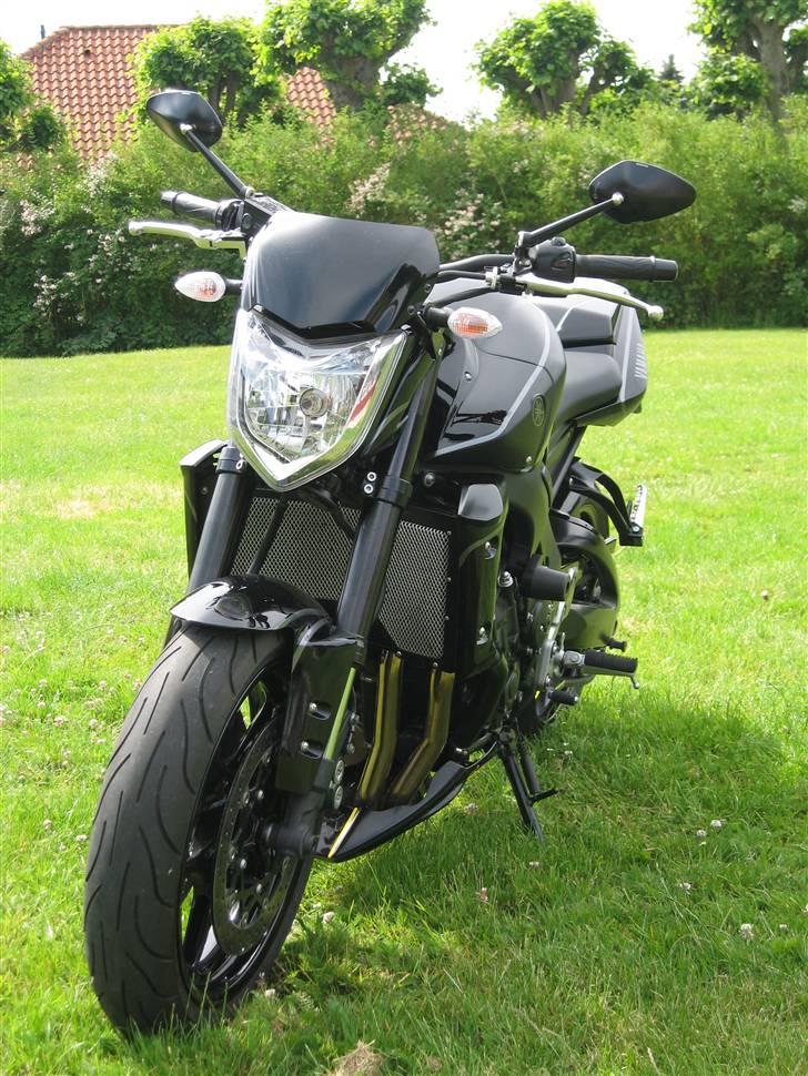 Yamaha FZ-1 billede 11