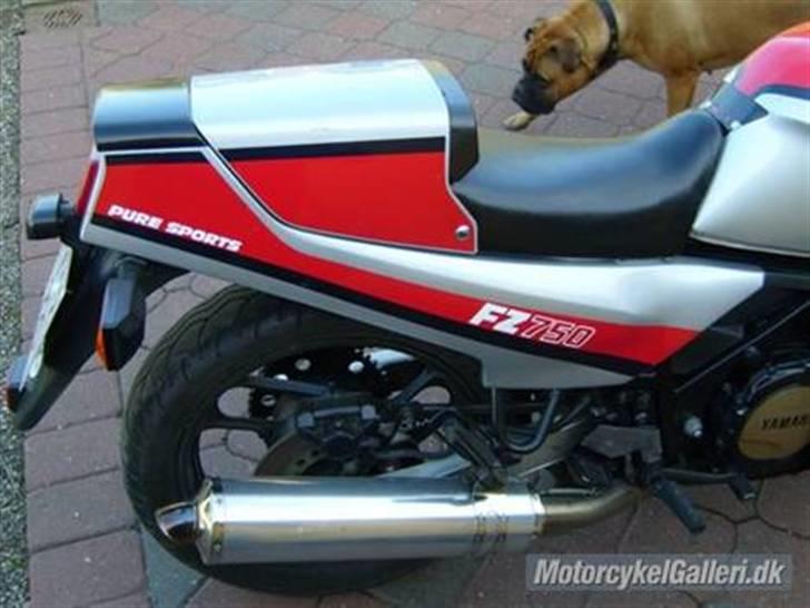 Yamaha FZ 750 billede 17