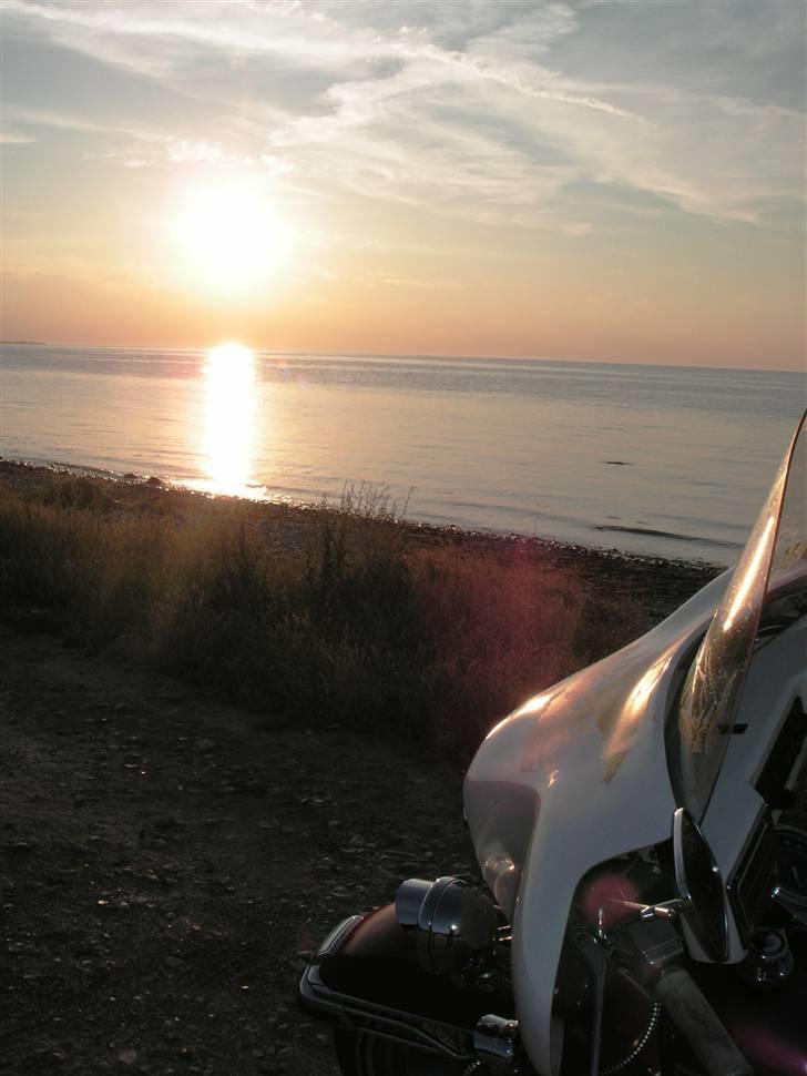 Harley Davidson FLH-1200 billede 5