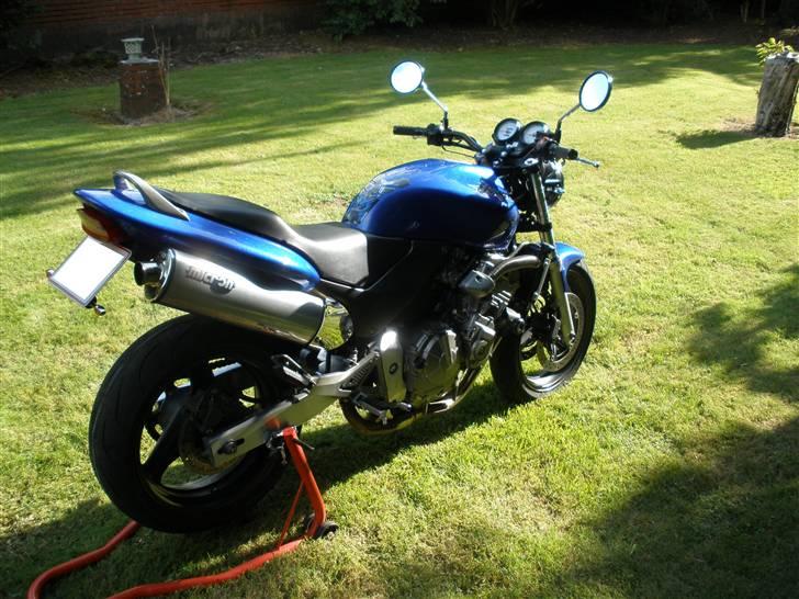 Honda hornet (SOLGT) billede 8