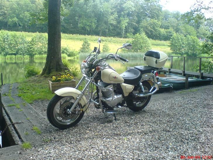 Lifan 250-4 - Billede fra en lille skovsø. billede 2