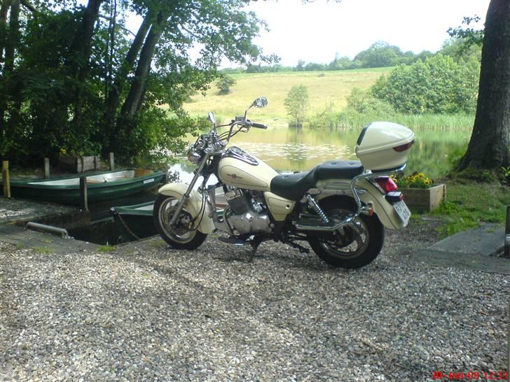 Lifan 250-4 - Billede fra en lille skovsø. billede 3