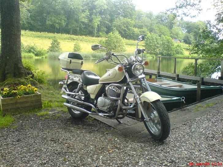 Lifan 250-4 - Billede fra en lille skovsø. billede 4