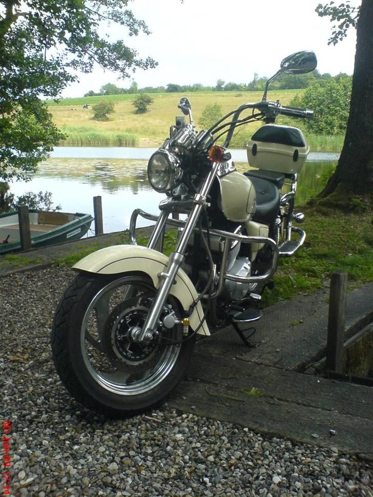 Lifan 250-4 - Billede fra en lille skovsø. billede 6