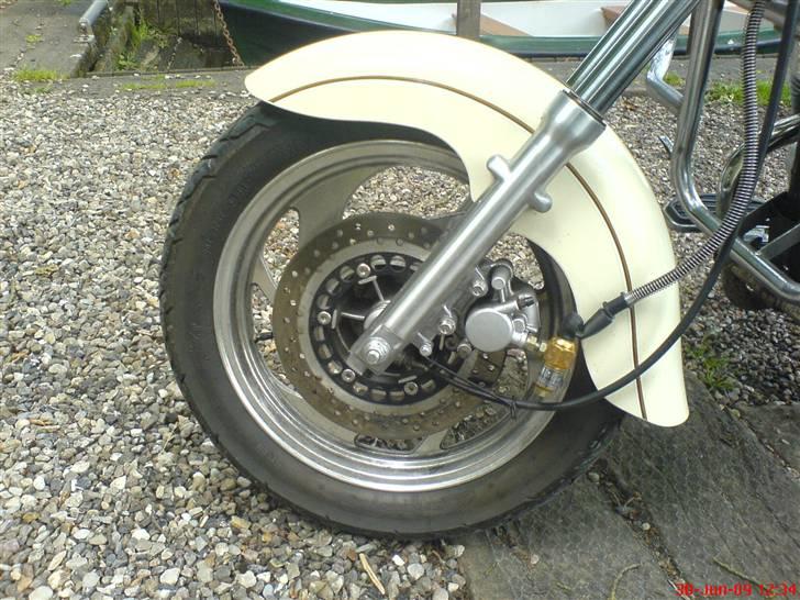 Lifan 250-4 - Billede fra en lille skovsø. billede 7