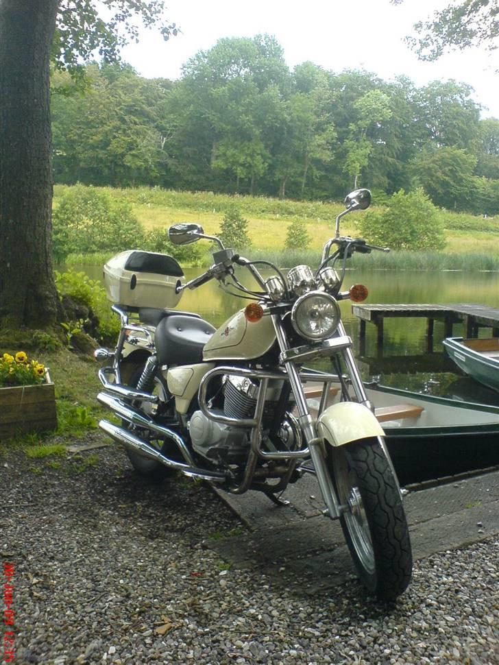 Lifan 250-4 - Billede fra en lille skovsø. billede 10