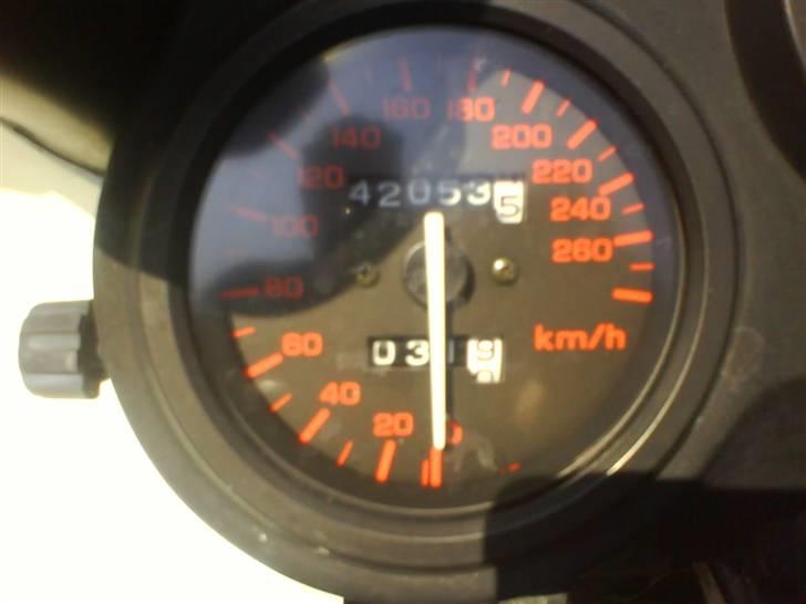 Honda CBR 600 (SOLGT) billede 5