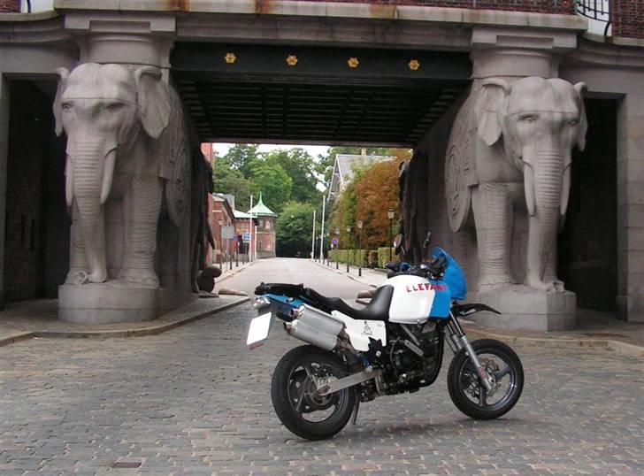 Cagiva Elefant - Elefanten foran Carlsbergs elefant port.  billede 4