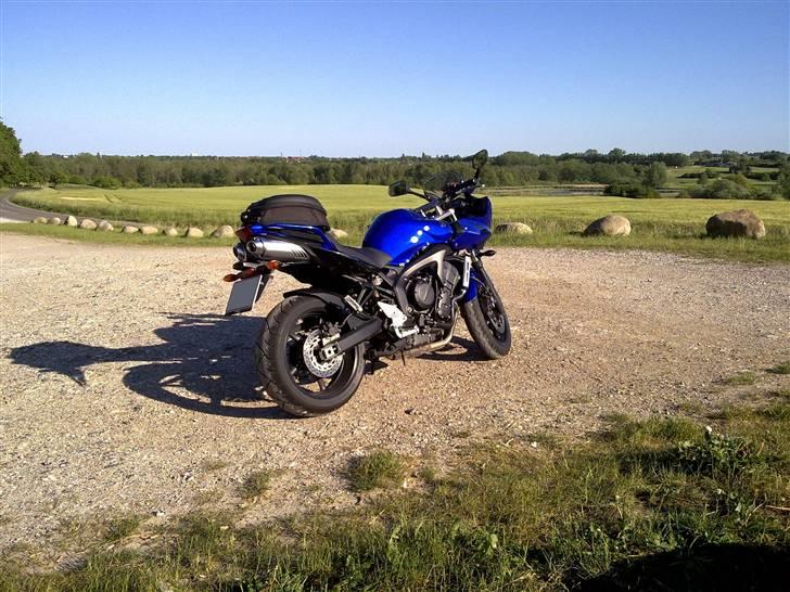 Yamaha FZ6 S2 billede 5