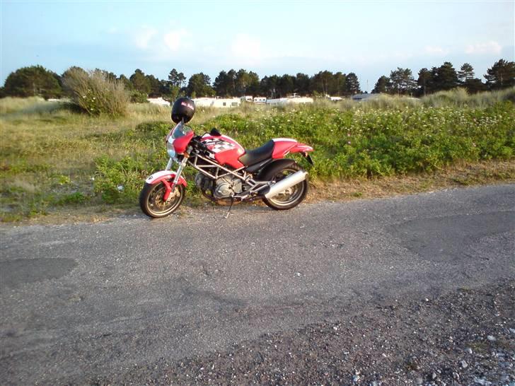 Ducati Monster 620 si.e Corse “ stjålen” billede 11