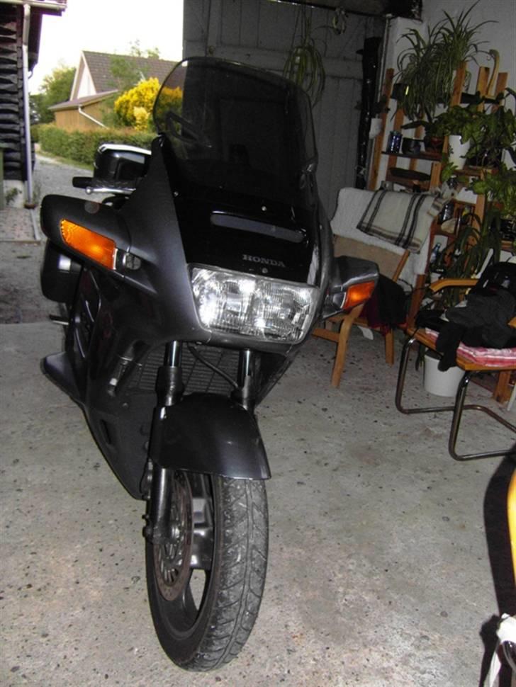 Honda ST 1100 Pan European - Den ser da ud at ku li sine omgivelser... billede 3